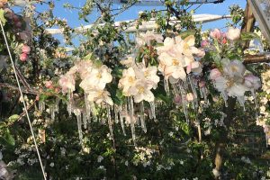 Milde Temperaturen im Winter und später Frost