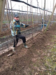 Bild eines Mitarbeiters auf der Obstpantage zum Thema Herbstzeit – Pflanzzeit